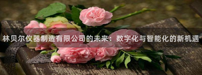 恒行娱乐登录信用 74ooo5：林贝尔仪器制造有限公司的未来