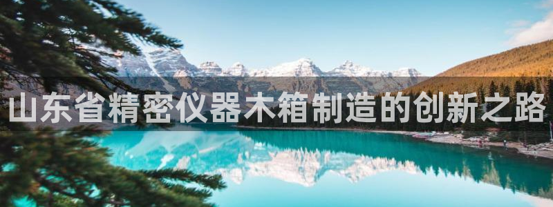 恒行2那74OOO5：山东省精密仪器木箱制造的创新之路