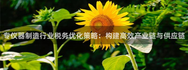恒行娱乐登录5ll533主管一流：专仪器制造行业税务优化策略