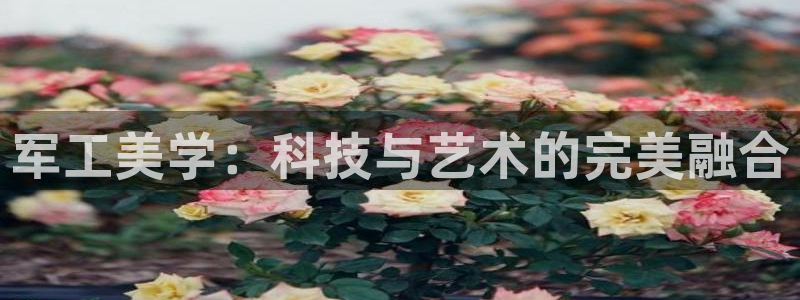 恒行娱乐吕74OOO5：军工美学：科技与艺术的完美融合