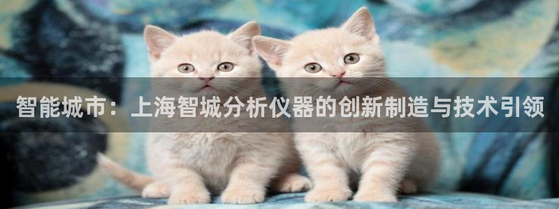 恒行娱乐掏沂74ooo5弛：智能城市：上海智城分析仪器的创新