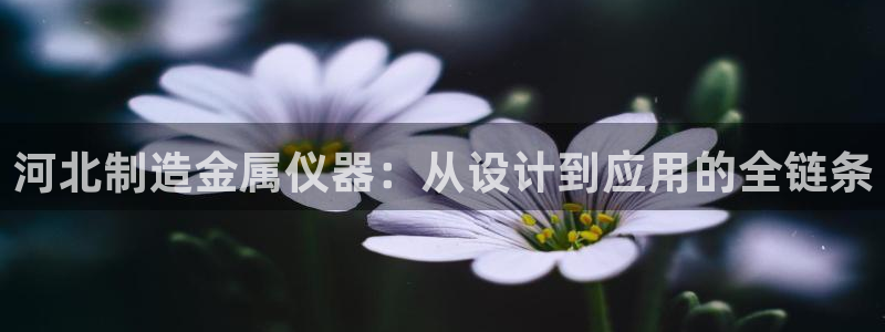恒行娱乐婆蹬74ooo5盗：河北制造金属仪器：从设计到应用的