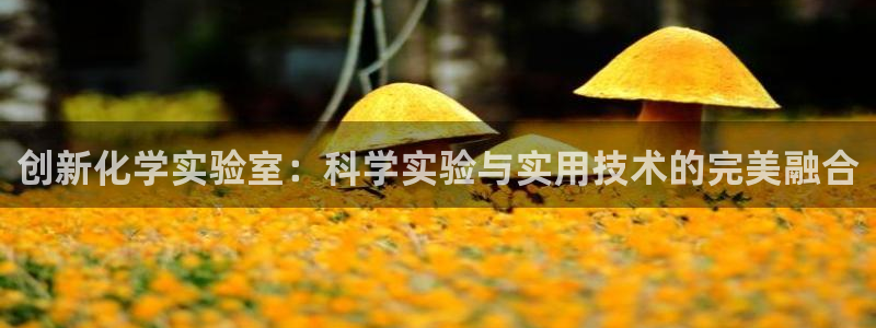 恒行娱乐登录信用 74ooo5：创新化学实验室：科学实验与实