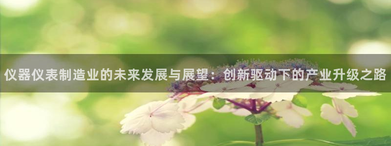 恒行娱乐婆蹬74ooo5盗：仪器仪表制造业的未来发展与展望：