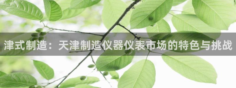 恒行2下74OO5：津式制造：天津制造仪器仪表市场的特色与挑