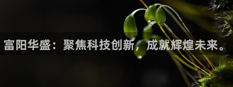 恒行娱乐河沂74ooo5程：富阳华盛：聚焦科技创新，成就辉煌