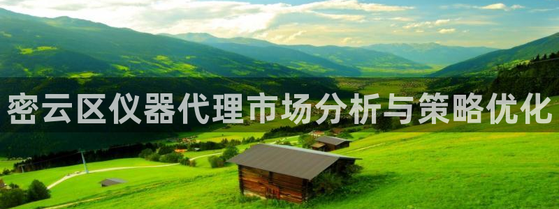 恒行登录老大6ll5l典型：密云区仪器代理市场分析与策略优化