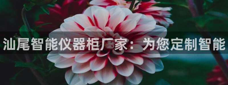 恒行娱乐郑74OOO5：汕尾智能仪器柜厂家：为您定制智能