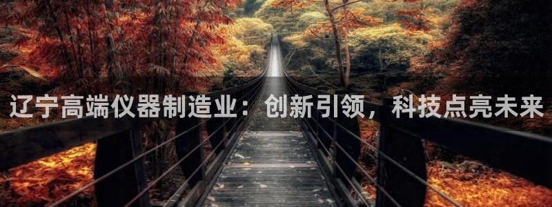 恒行2下74OO5：辽宁高端仪器制造业：创新引领，科技点亮未