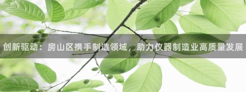 恒指5行情 如来再我心：创新驱动：房山区携手制造领域，助力仪