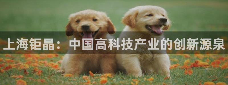 恒行2陈74OOO5：上海钜晶：中国高科技产业的创新源泉