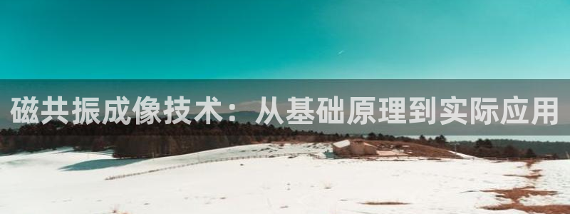 恒行2蒋74OOO5：磁共振成像技术：从基础原理到实际应用