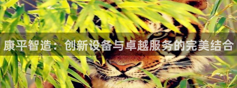 恒行开户娱乐赞议6ll5l：康平智造：创新设备与卓越服务的完