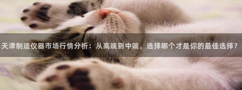 恒行3乃5O6917：天津制造仪器市场行情分析：从高端到中端
