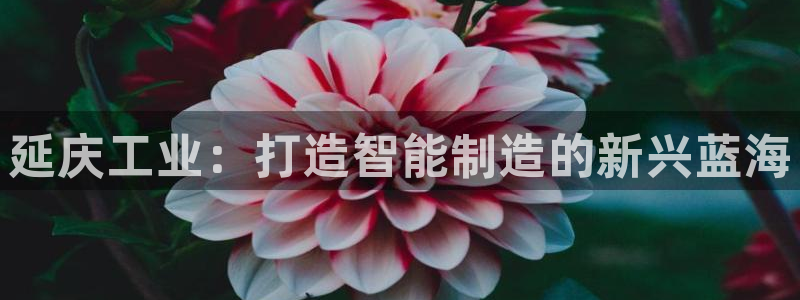 恒行2许74OOO5：延庆工业：打造智能制造的新兴蓝海