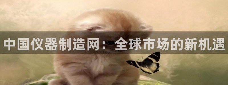 恒行注册招收6ll5l指定：中国仪器制造网：全球市场的新机遇