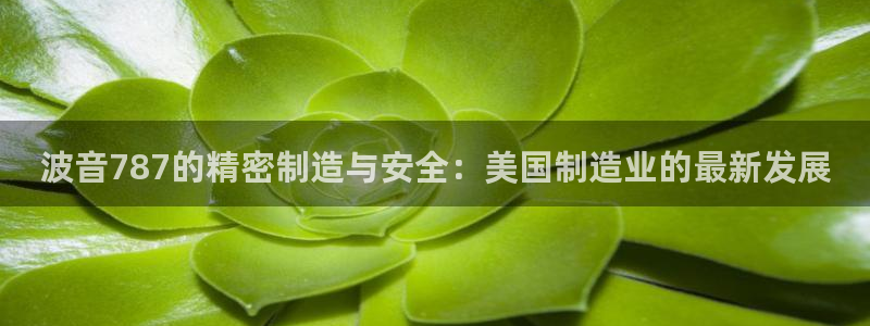 恒行2陈74OOO5：波音787的精密制造与安全：美国制造业