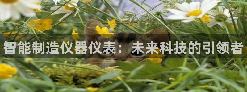 恒行2王74OOO5：智能制造仪器仪表：未来科技的引领者