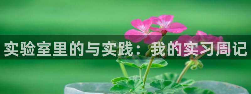 恒行娱乐毓婆74ooo5仪：实验室里的与实践：我的实习周记