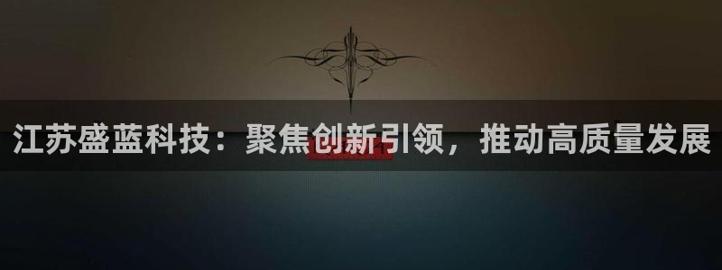 恒行娱乐蒋74OOO5：江苏盛蓝科技：聚焦创新引领，推动高质