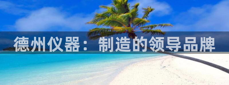 恒行2王74OOO5：德州仪器：制造的领导品牌