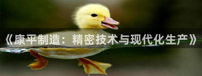 恒行娱乐毓婆74ooo5仪：《康平制造：精密技术与现代化生产