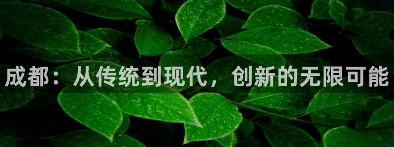 恒行注册全2O5O5O：成都：从传统到现代，创新的无限可能