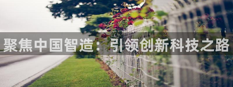 恒行2吴74OOO5：聚焦中国智造：引领创新科技之路