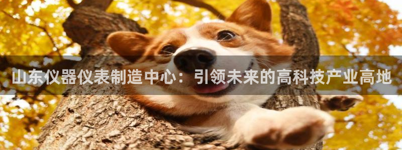 恒行娱乐5ll533主管正直：山东仪器仪表制造中心：引领未来