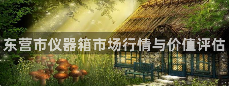恒行开户娱乐赞议6ll5l：东营市仪器箱市场行情与价值评估
