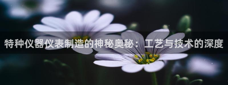 恒行开户娱乐赞议6ll5l：特种仪器仪表制造的神秘奥秘：工艺