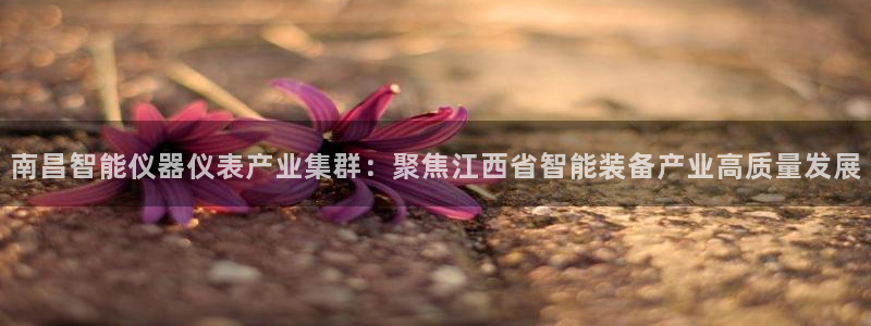 恒行娱乐吴74OOO5：南昌智能仪器仪表产业集群：聚焦江西省