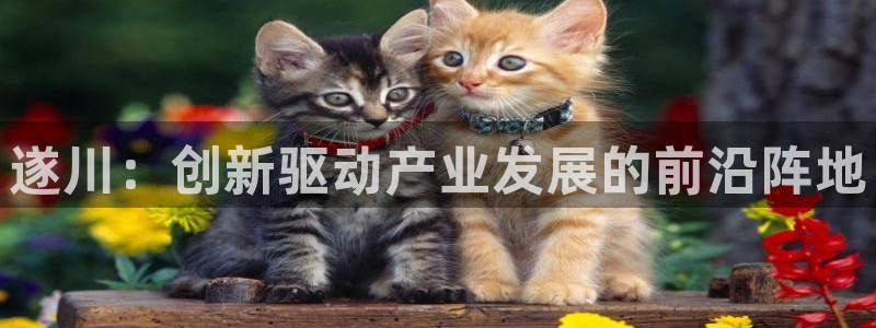 恒行娱乐鸟74ooo5判官：遂川：创新驱动产业发展的前沿阵地