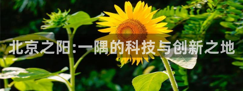 恒行娱乐陈74OOO5