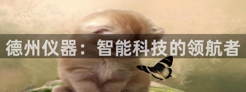 恒行2吴74OOO5：德州仪器：智能科技的领航者