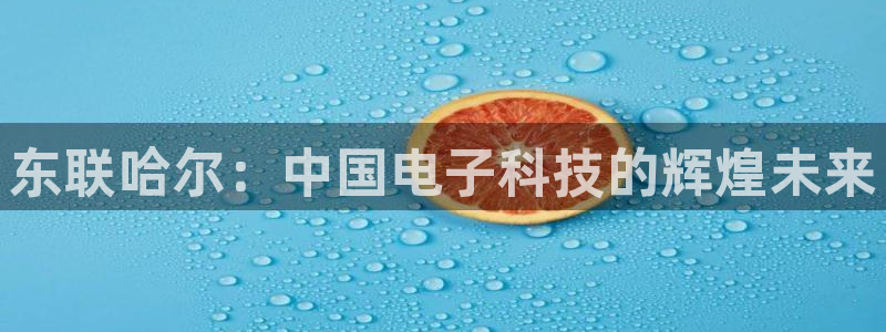 恒行2地74OOO5：东联哈尔：中国电子科技的辉煌未来