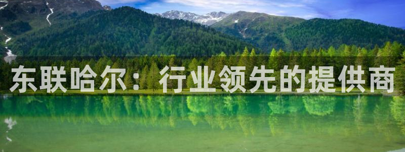 恒行2周74OOO5：东联哈尔：行业领先的提供商