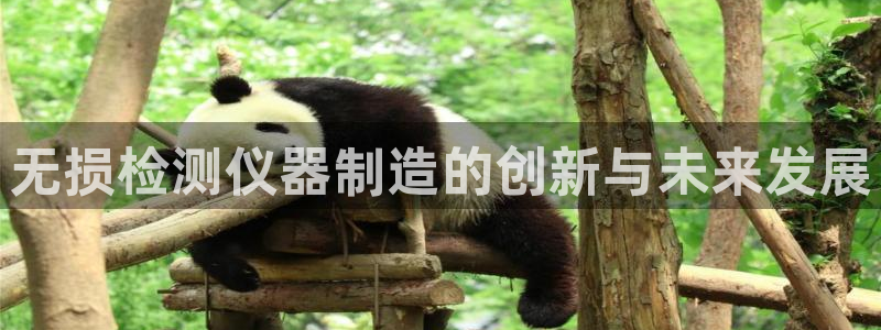 恒行5娱乐：无损检测仪器制造的创新与未来发展