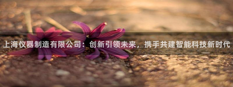 恒行娱乐周74OOO5：上海仪器制造有限公司：创新引领未来，