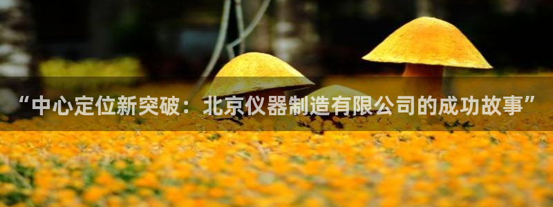 恒行5娱乐：“中心定位新突破：北京仪器制造有限公司的成功故事