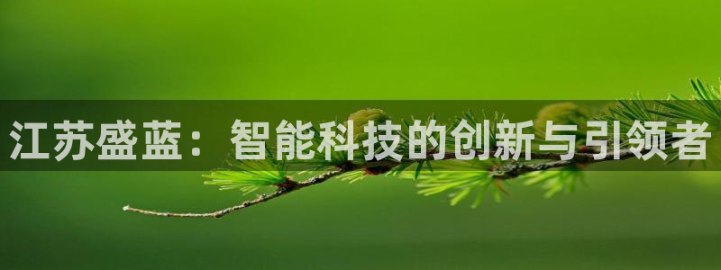 恒行2地74OOO5：江苏盛蓝：智能科技的创新与引领者