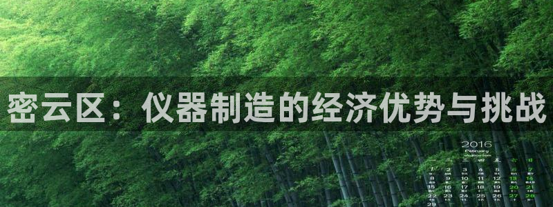 恒行娱乐蜗74ooo5指磁：密云区：仪器制造的经济优势与挑战