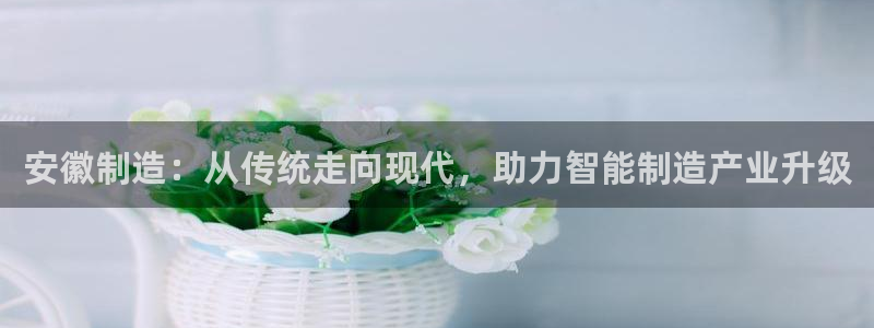 恒行2杨74OOO5：安徽制造：从传统走向现代，助力智能制造