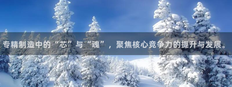 恒行主管6ll5l指定：专精制造中的“芯”与“魂”，聚焦核心