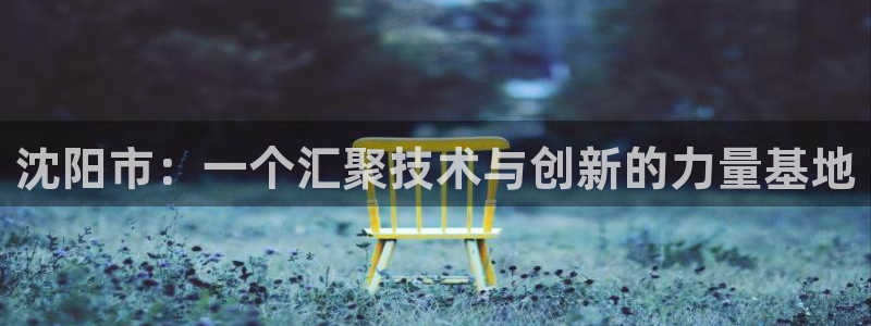 恒行娱乐蜗74ooo5指磁：沈阳市：一个汇聚技术与创新的力量