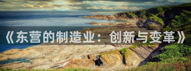 恒行注册全2O5O5O：《东营的制造业：创新与变革》