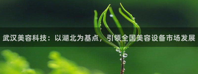 恒行娱乐郑74OOO5：武汉美容科技：以湖北为基点，引领全国