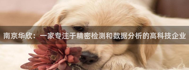 恒行2冯74OOO5：南京华欣：一家专注于精密检测和数据分析