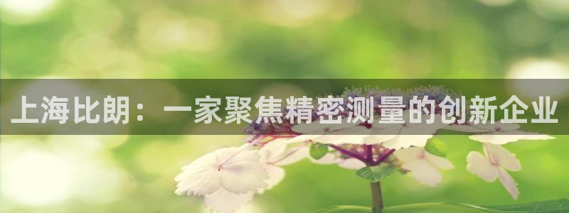 恒行娱乐蜗74ooo5指磁：上海比朗：一家聚焦精密测量的创新