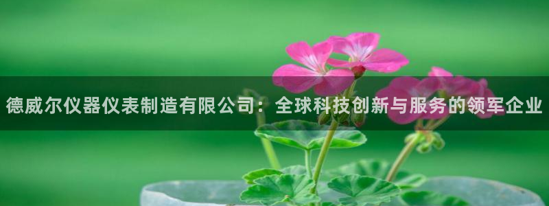 恒行娱乐热74ooo5主宰：德威尔仪器仪表制造有限公司：全球